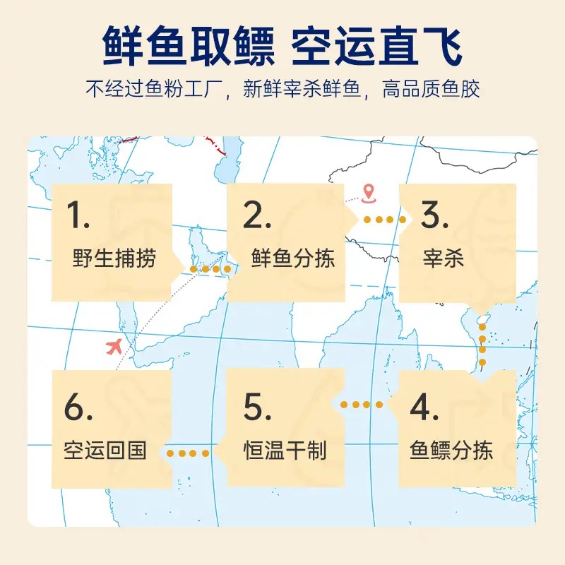 官栈×国药深度逆转 4A黄花鱼胶90g_高清大图