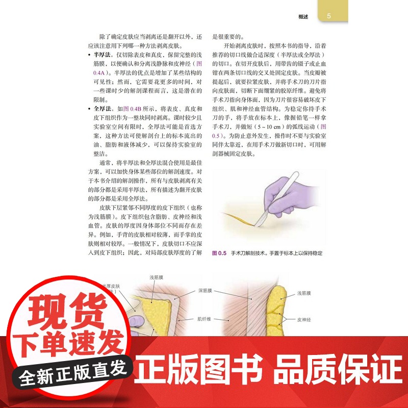 Grant解剖学操作指南 第17版 解剖学 临床 医药卫生 北京科学技术高清大图