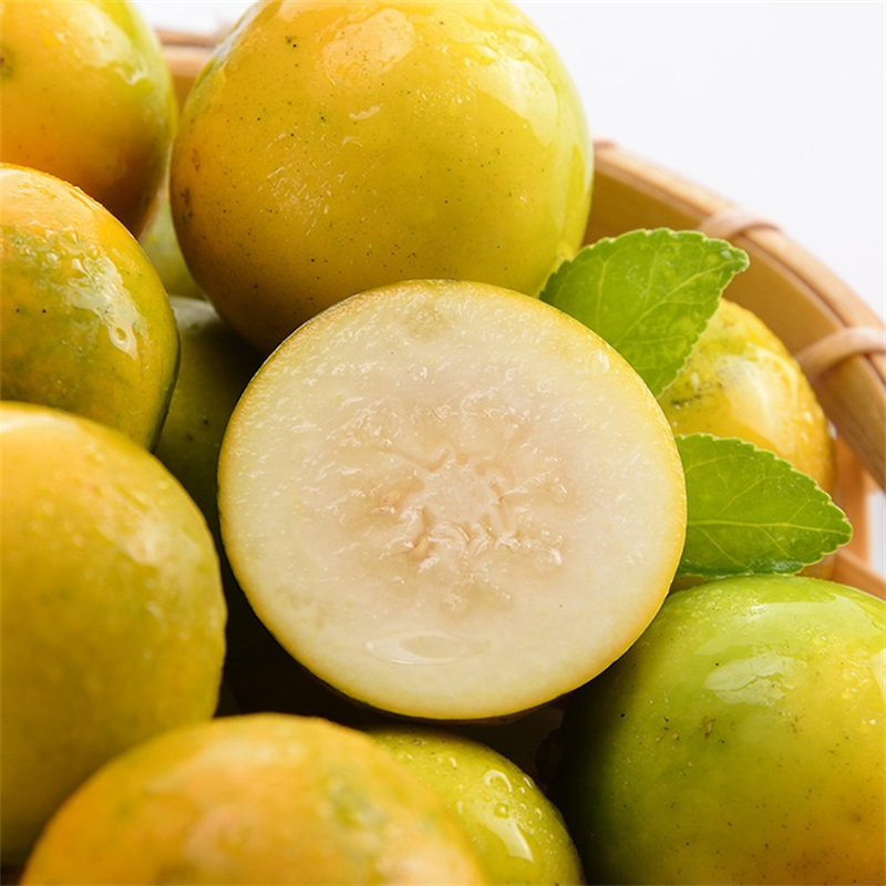 广西桂林融安金桔新鲜脆皮金桔皮薄多汁2斤单果1619g新鲜水果