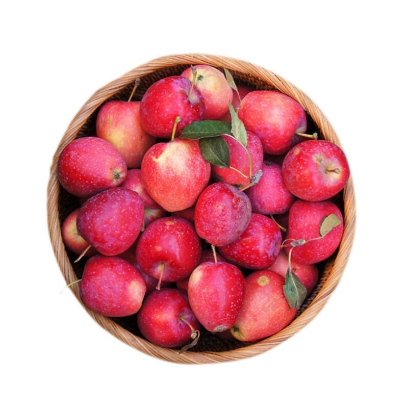 xj新鲜东北鸡心海棠果沙果锦秀海棠小苹果花红果可开发票5斤