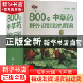 800种中草药野外识别彩色图鉴(精)
