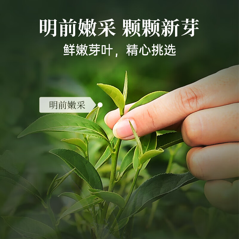 华祥苑 庄园精选明前龙井 江南鲜品明前龙井 168g(42包)高清大图