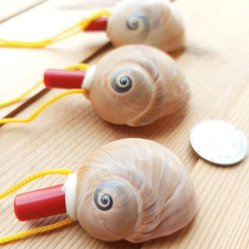 天然贝壳超大海螺哨子儿童玩具号角礼物吹小螺号海边旅游纪念品海参螺