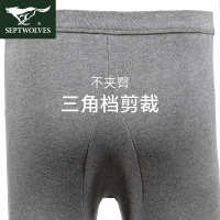 七匹狼秋裤男士保暖裤男薄款纯棉毛裤青年紧身单裤全棉线裤宽松衬裤