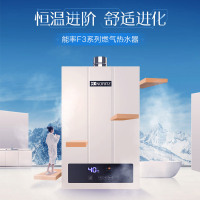 能率(NORITZ) 16升燃气热水器 GQ-16F3FEX(天然气)(JSQ31-F3) 智能降噪恒温 CPU智能控制