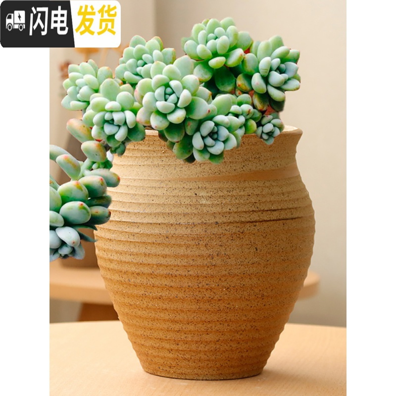三维工匠素烧多肉花盆大号粗陶透气复古老桩兰花盆创意植物组合高盆栽 19号粗陶盆 大花盆容器高清大图