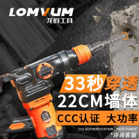 龙韵电锤电镐电钻三用多功能冲击钻家用专打混凝土工业版电动工具 旗舰套餐四