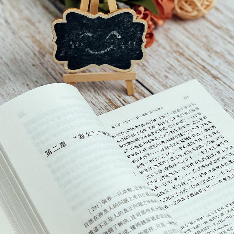 [正版]道德的谱系 (德)尼采 著 梁锡江 译 哲学知识读物社科 书店图书籍 华东师范大学出版社