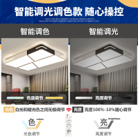 Grevol灯具客厅灯简约现代大厅灯吸顶灯北欧风卧室灯餐厅灯长方形LED书房灯饰