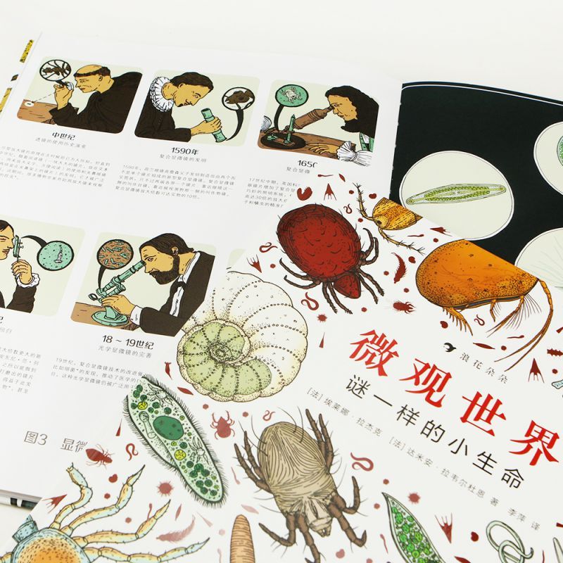 微观世界:谜一样的小生命 [正版]浪花朵朵 微观世界谜一样的小生命 深圳大鹏自然童书奖自然探索奖彩色插图微型生物纪录片式