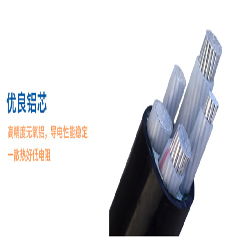 华科中缆铝芯线BLX-450/750V-1*50/卷高清大图