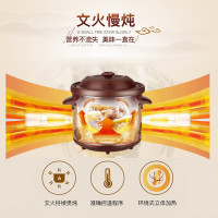 天际电炖锅电炖盅电砂锅紫砂炖锅煲汤锅炖汤锅煮粥锅炖煮锅养生锅智能炖煮 4L大容量多功能家用可预约定时3-5人电用