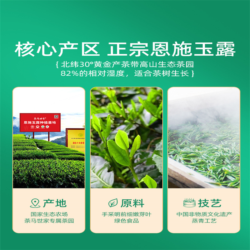 [品质玉露]茶马世家恩施玉露2024新茶富硒蒸青绿茶叶清香型高山明前头采春茶70g