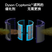 [预售]戴森(DYSON) TP09 除菌除甲醛空气净化风扇 整屋循环净化 兼具空气净化器功能 落地风扇 电风扇 白金色