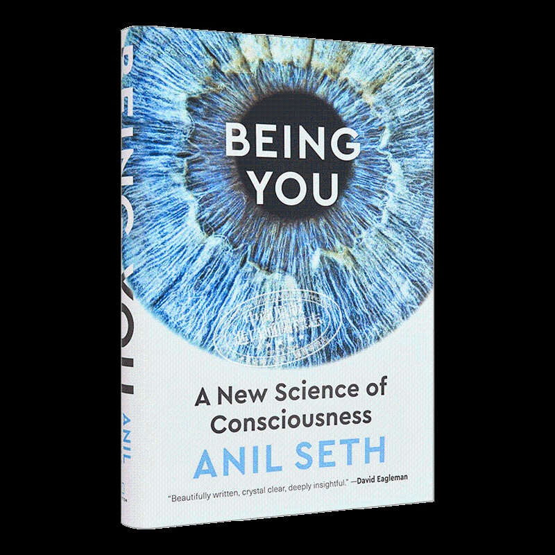 [正版]英文原版 Being You A New Science of Consciousness 成为你 意识的新科学高清大图