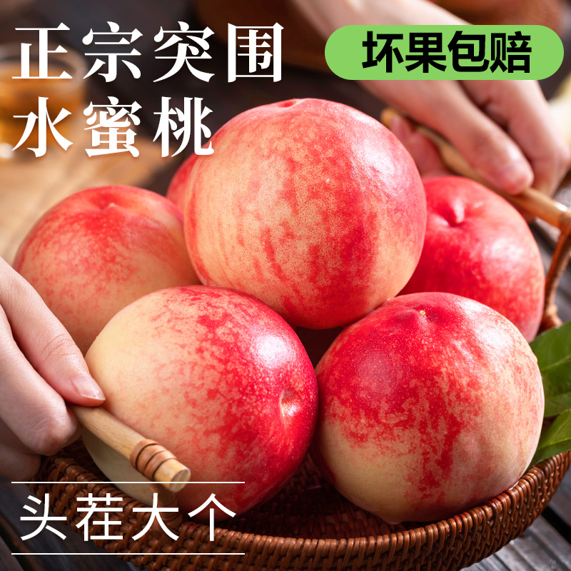 [西沛生鲜] 陕西新鲜突围水蜜桃 新鲜水果 净重8.5斤 中大果 20-24枚 应季现摘脆甜毛桃子 整箱