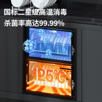 容声(RONGSHENG)G10嵌入式消毒柜110L两层大容量二星级125°高温杀菌不锈钢层架碗筷柜母婴消毒柜