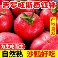 普罗旺斯西红柿 净5斤 单果80-150g 新鲜水果 新鲜蔬菜 陈小四水果 自然熟沙瓤 大番茄生吃洋柿