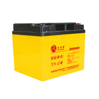 蓄电池 RT-12V100AH 不断电蓄电池 应急免维护蓄电池