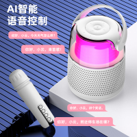 爱国者T09黑色蓝牙音箱无线音响手拎水壶款带话筒麦克风360立体K歌
