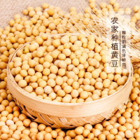 硒都恩施小粒黄豆500g/袋 非转基因黄豆老品种大豆农家自种黄豆2018新黄豆 五谷杂粮打豆浆大豆