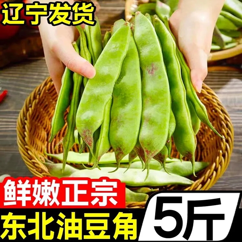东北油豆角现摘新鲜5斤蔬菜黑龙江一点红油豆角东北特产