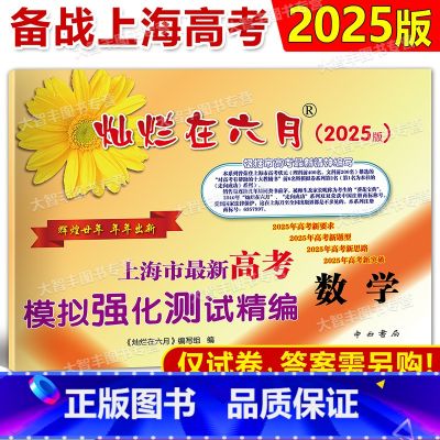 高考精编 数学 试卷 上海 【正版】2025版 灿烂在六月 高考数学模拟卷 上海市新高考数学模拟强化测试精编 上海高三学