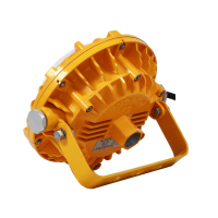光大特照 EBF605(L) LED AC220V 48W IP68 5700K 抗震防爆平台灯 (计价单位:盏) 黄色