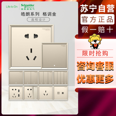 施耐德电气 自营 开关插座 皓朗系列格调金色 五孔电源插座 家用墙壁式 86型面板 空调网插 开关 一开双控 USB插座