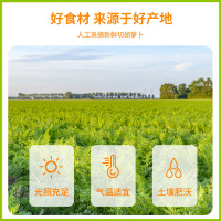 有缘有味即食胡萝卜脆25g*10袋装老幼孕妇休闲零食营养丰富胡萝卜干果蔬脆