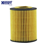 汉格斯特(hengst)机油格滤清器纸芯E820H D245适用于新款宝马114i 116i 118i 316Li