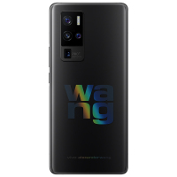 vivo X50 Pro+ alexanderwang限定版 12GB+256GB 超清一亿模式 120Hz高刷新率 高通骁龙865 60倍超级变焦 双模5G全网通手机
