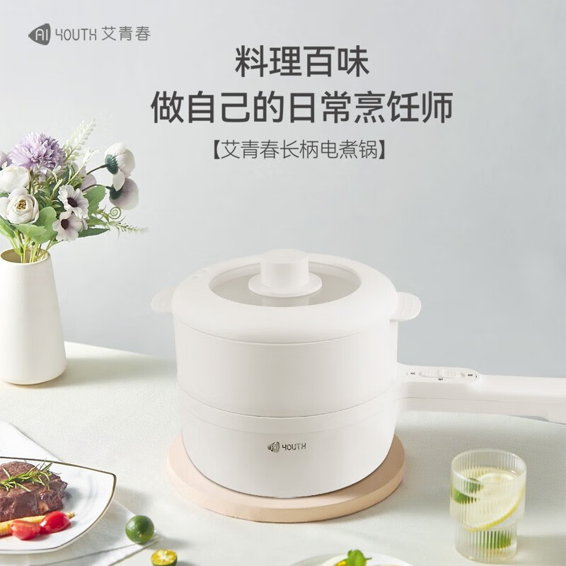 艾青春AIYOUth)家用大火力小型多功能电火锅(带蒸笼) AI-HG303