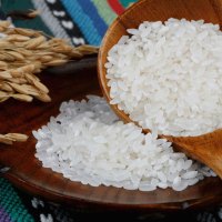 吉光 有机宝宝粥米礼盒 3kg/箱 宝宝粥米 有机大米 宝宝碎米 吉光出品
