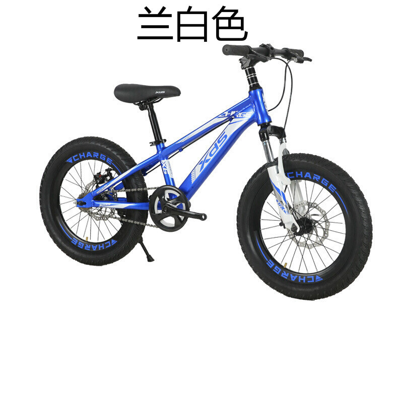 喜德盛儿童自行车冲锋号男女款20寸双碟刹铝合金车架单车 颜色随机
