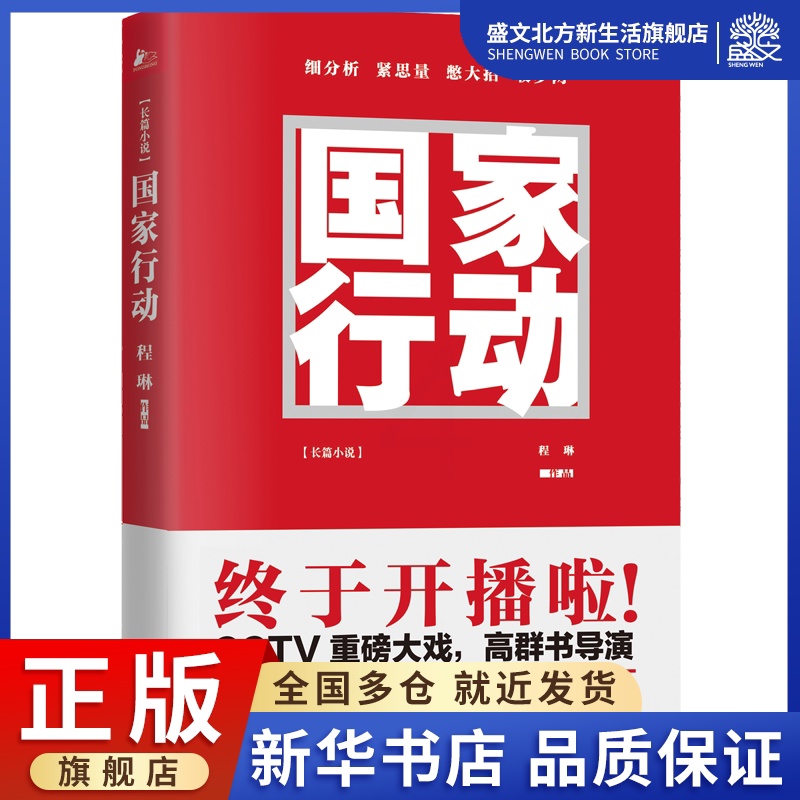 [醉染正版]国家行动 程琳 著 著作 官场、职场小说 文学 江苏文艺出版社 图书高清大图