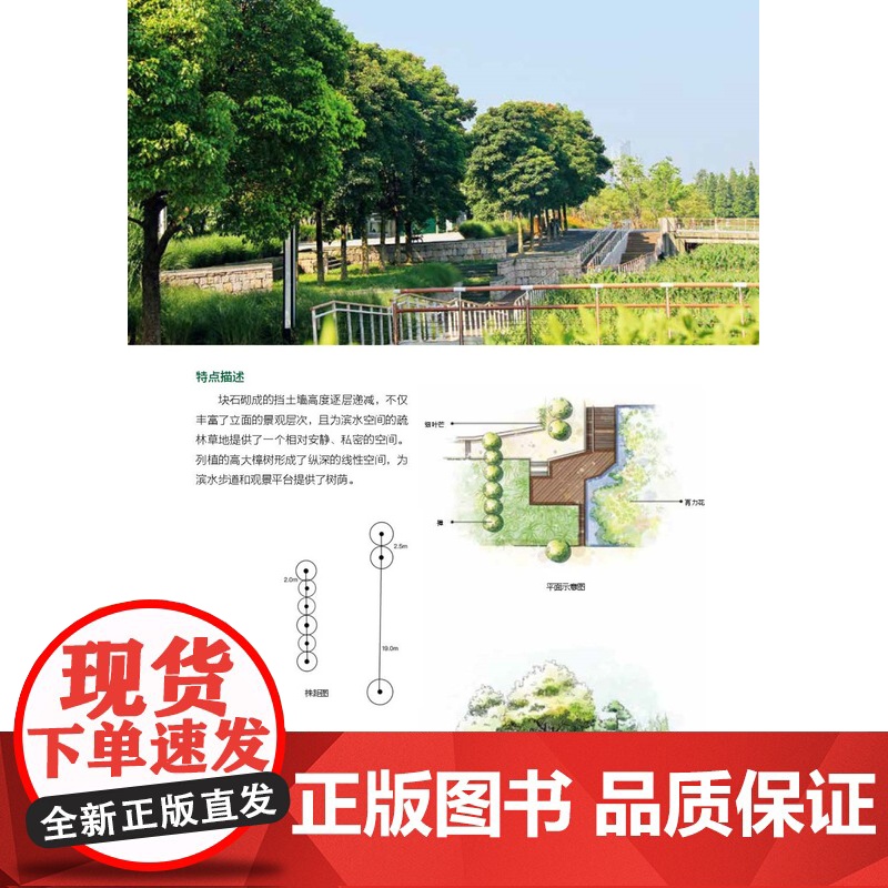 图解景观设计:100个经典植物配置 植物配置方案全解附手绘原图平立面图+株距图配置方案与数据实操深度解读方案高清大图