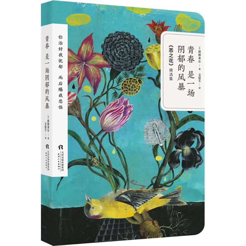 醉染图书青春是一场阴郁的风暴9787201134130高清大图