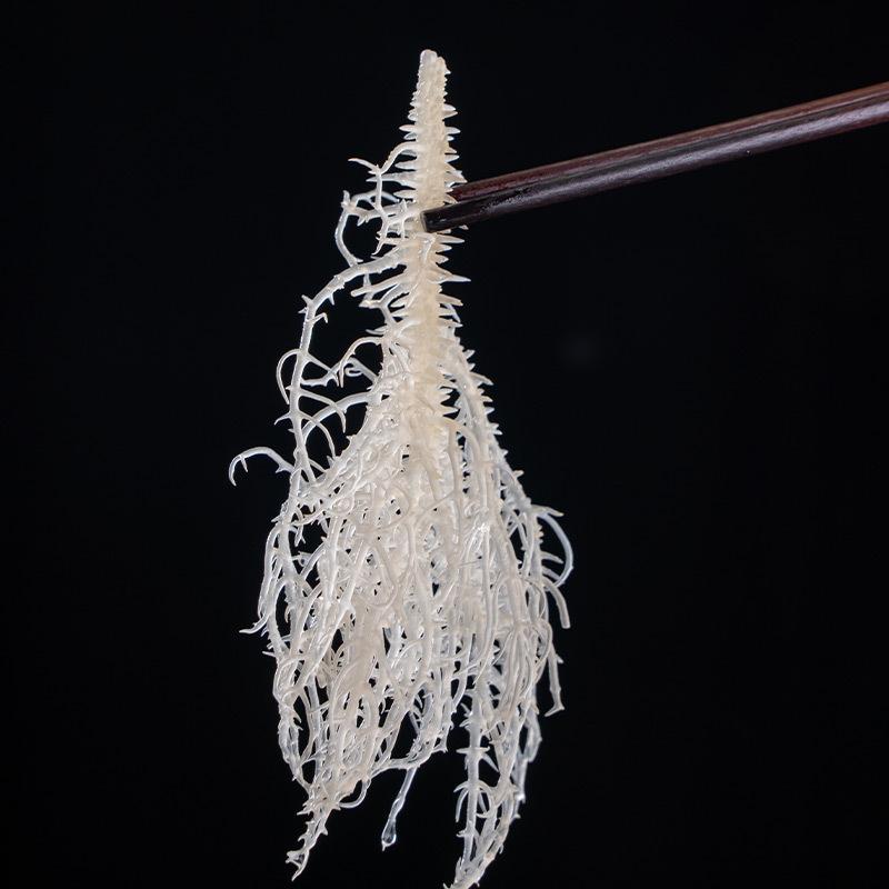 藻小弟 龙须菜150g/袋 凉拌淡干石花菜干货海石花海草海藻鹿角菜海发菜