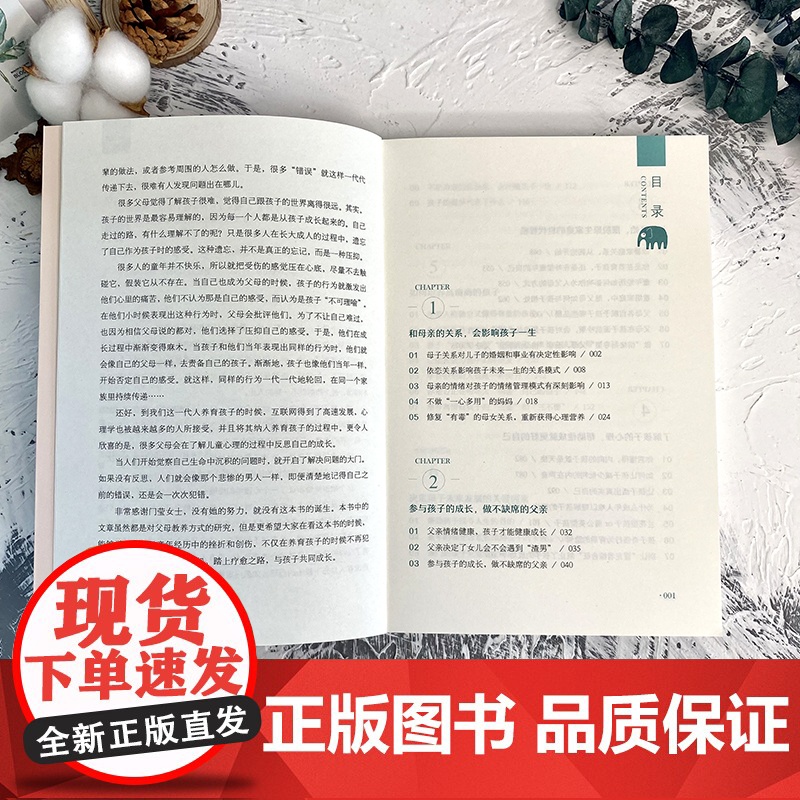 自我觉醒·给孩子的原生家庭高清大图