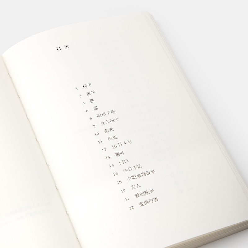 变得厉害 [正版]2024豆瓣年度书单变得厉害 刘天昭著作艺文志诗集谈初老精神危机上海文艺现当代诗集图书籍 另著散文集出高清大图