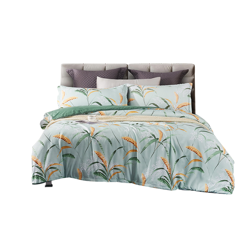 艾逸瑶选 JF-24118 韦伯亲肤磨毛四件套