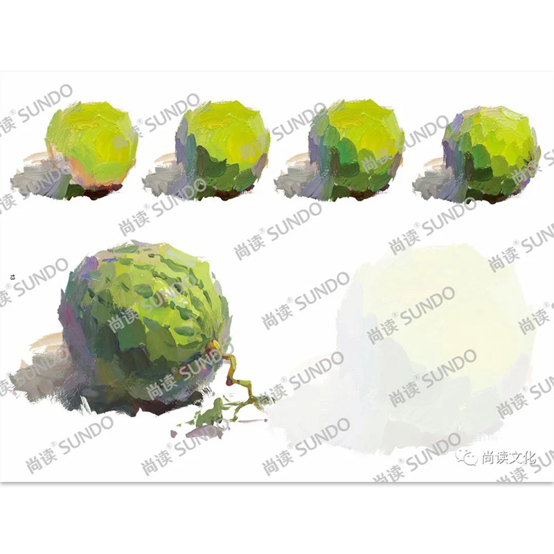 [正版]超级临摹纸色彩静物单体 2022尚读文化8K开描摹本水粉自学初学入门