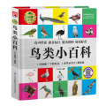 鸟类小百科 1分钟儿童小百科