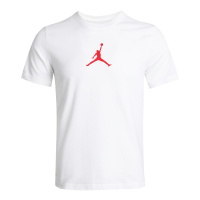 Nike耐克男短袖新款运动服Jordan健身跑步T恤CW5191-101