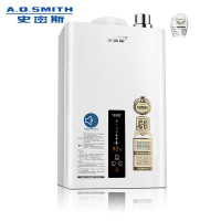 A.O.史密斯燃气热水器12L JSQ24-LSX