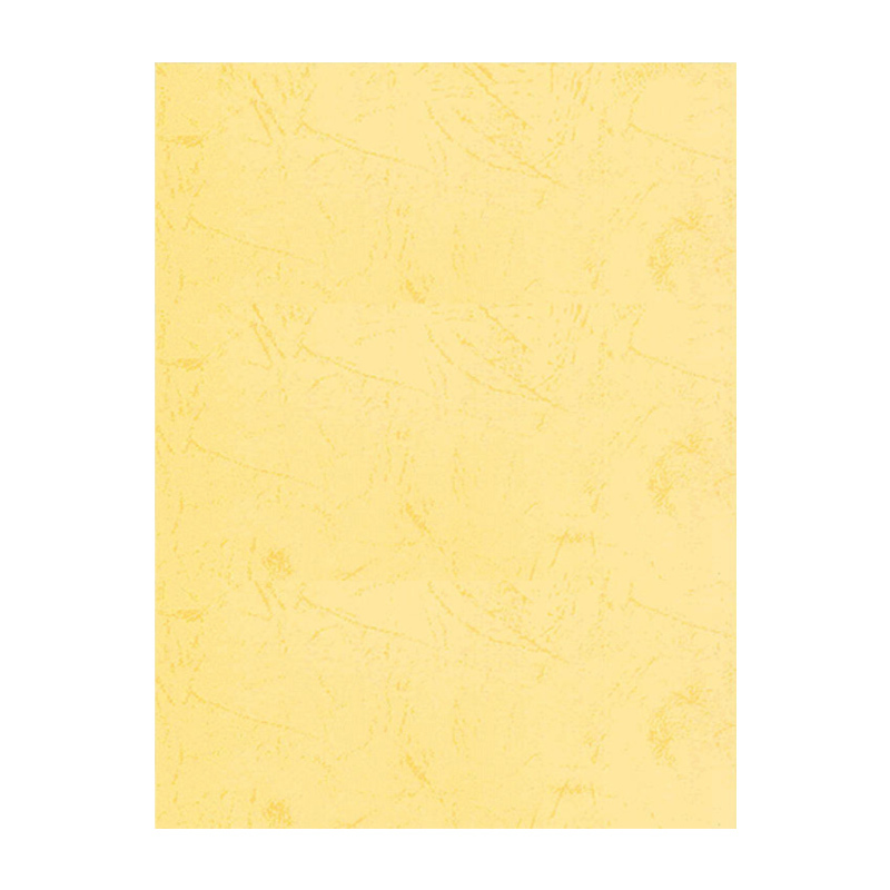 奥驰 皮纹纸180g浅黄色 A4 100张/包高清大图