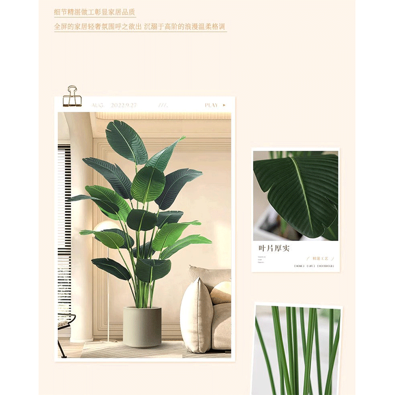 豫众诺仿真绿植 特 级款 套高清大图