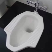 东陶(TOTO)蹲便器CW8RBDC603VLF蹲坑水箱手按脚踏冲洗阀蹲便池大便