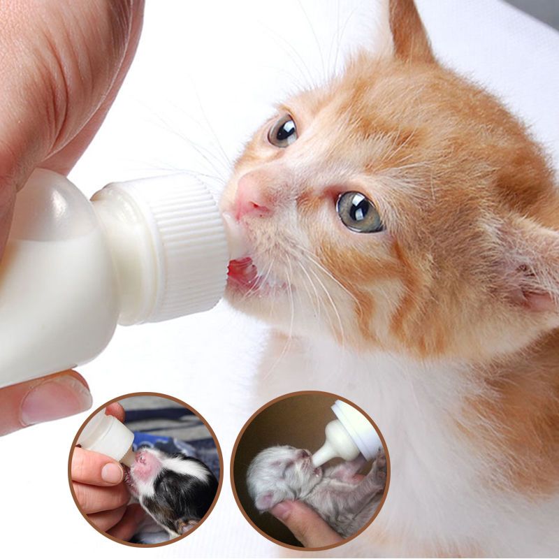 宠物奶瓶狗狗奶瓶猫咪奶瓶幼犬新生犬幼猫奶猫小兔子奶嘴喂奶器60ml